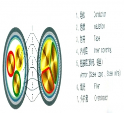 電纜結構圖